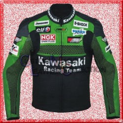 Kawasaki Green Racing Team Motorbike Leather Jacket/Biker Leather Jacket
